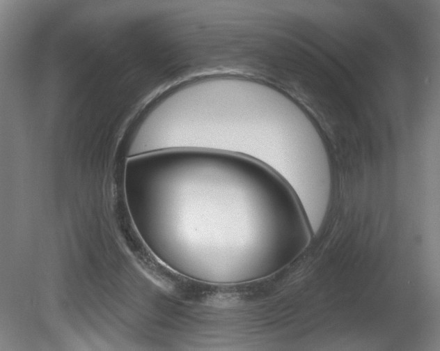 X0000081560252200701151007