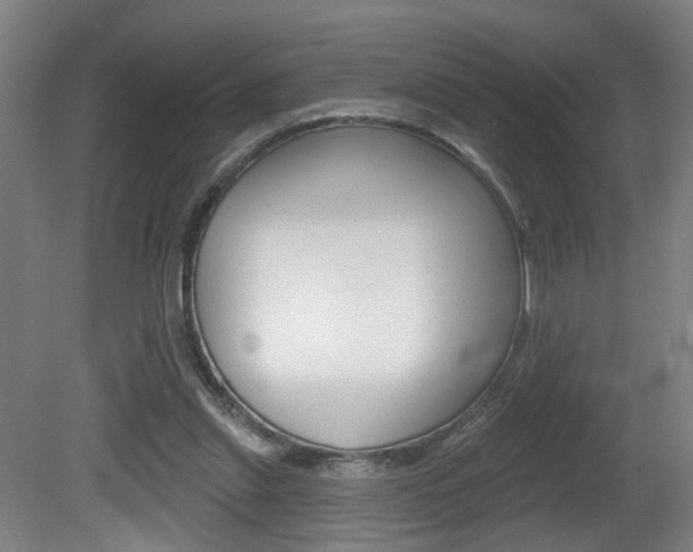 X0000081560253200701151007