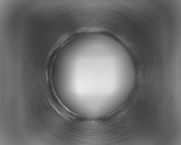 X0000081560254200701151007