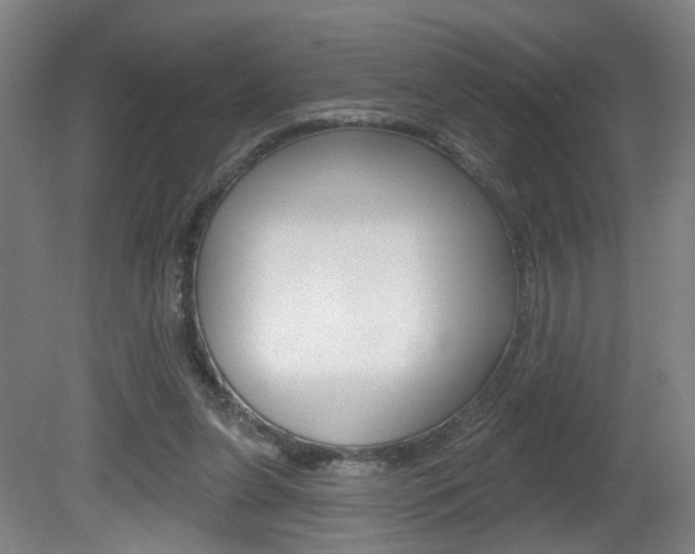 X0000081560255200701151007