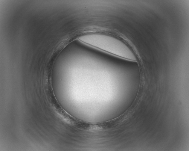 X0000081560257200701151007