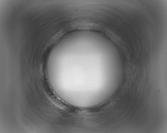 X0000081560258200701151007