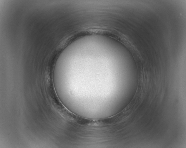 X0000081560259200701151007