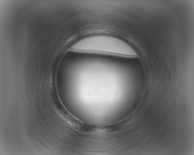 X0000081560260200701151007