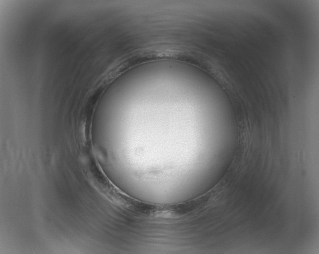 X0000081560262200701151007