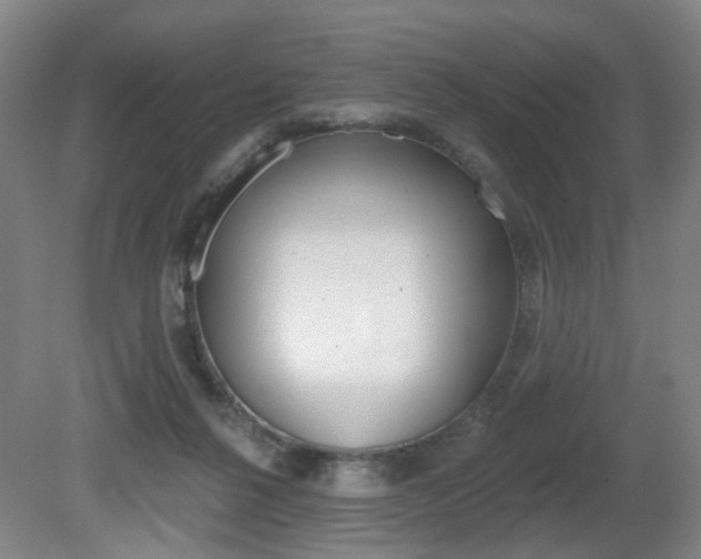 X0000081560264200701151007