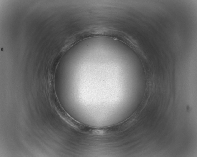 X0000081560265200701151007