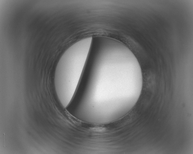 X0000081560266200701151007