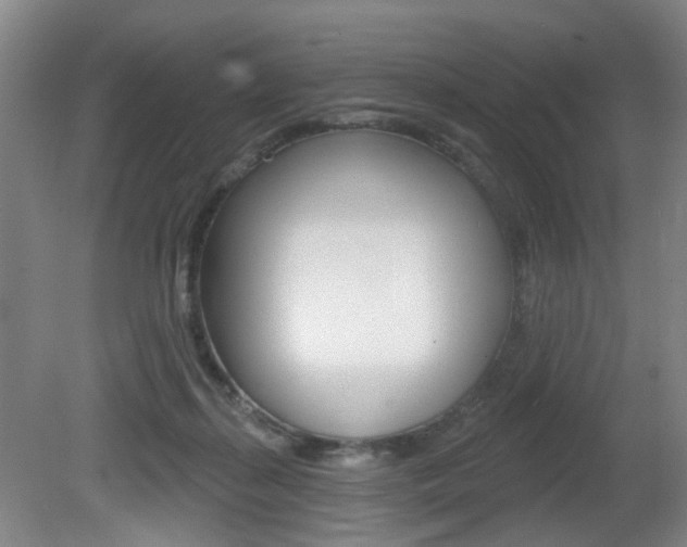 X0000081560267200701151007
