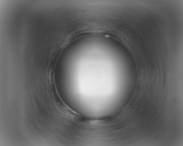 X0000081560268200701151007