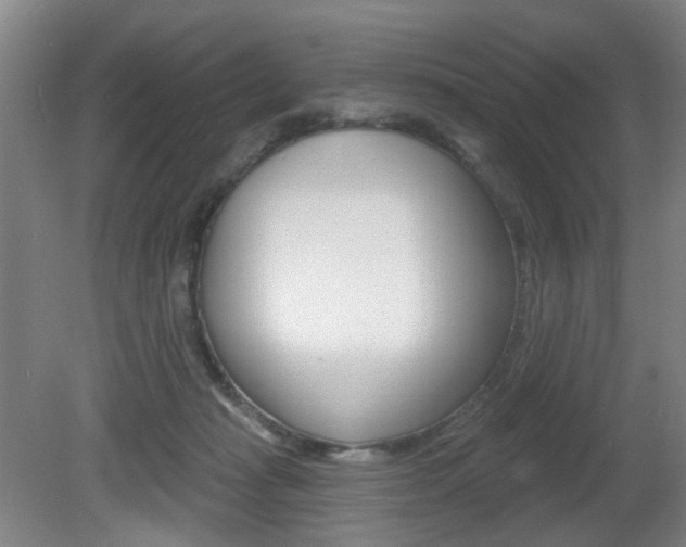X0000081560269200701151007