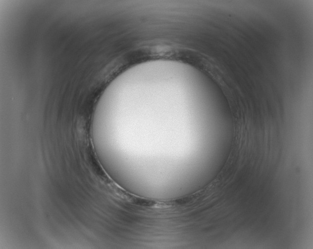 X0000081560270200701151007