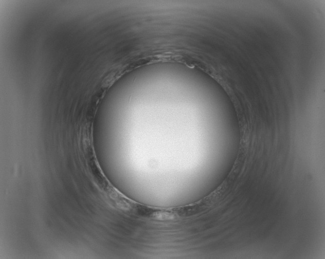 X0000081560272200701151007