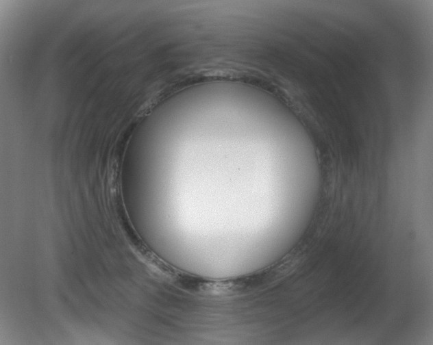 X0000081560273200701151007