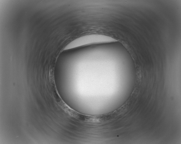 X0000081560276200701151007