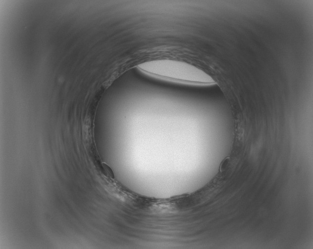 X0000081560283200701151008