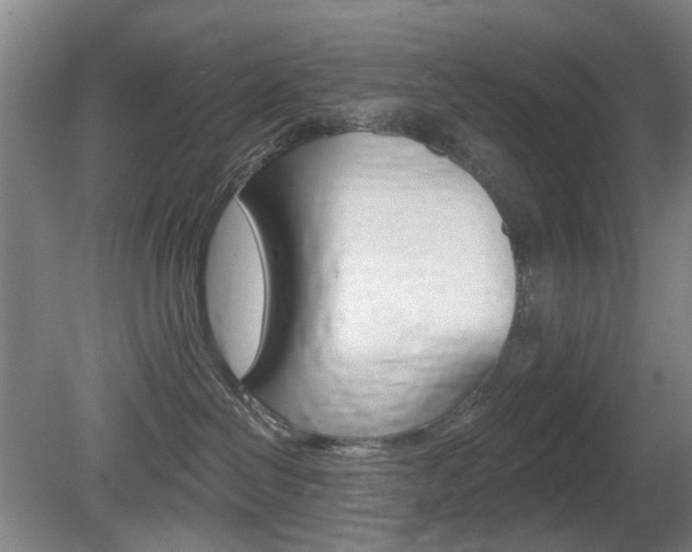 X0000081560286200701151008