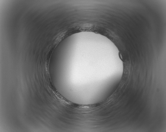 X0000081560287200701151008