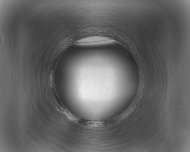 X0000081560288200701151008