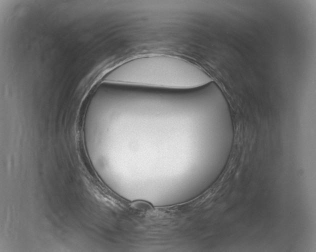 X0000081560290200701151007
