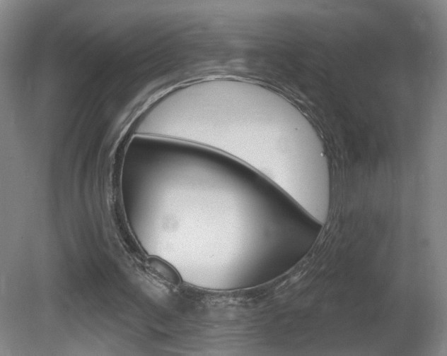 X0000081560291200701151007