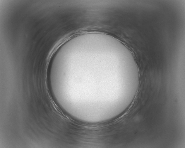 X0000081560293200701151007