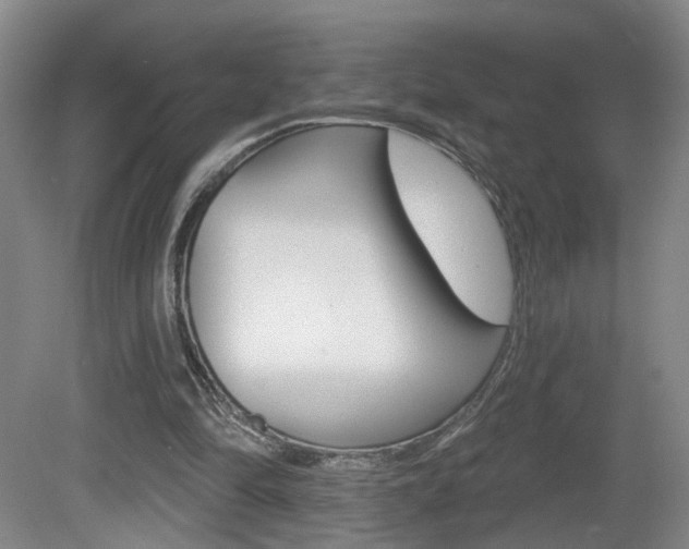 X0000081560294200701151007