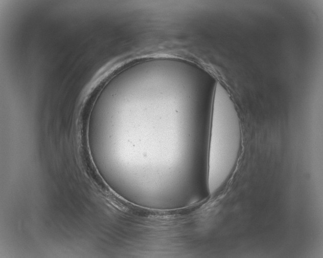 X0000081560295200701151007