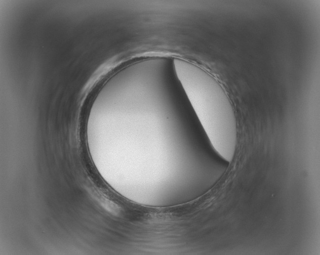 X0000081560296200701151007