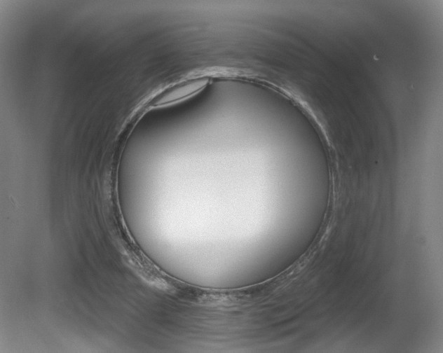 X0000081560297200701151007