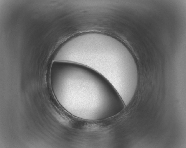 X0000081560299200701151007