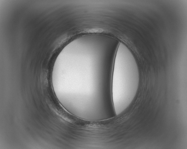 X0000081560300200701151007
