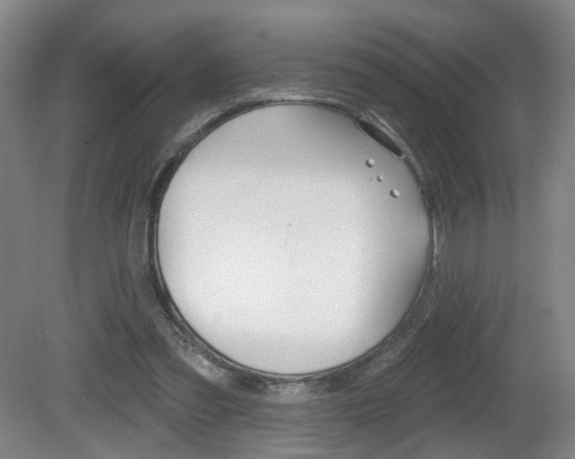 X0000081560301200701151007