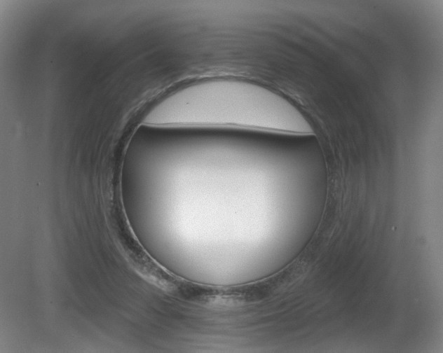 X0000081560303200701151007