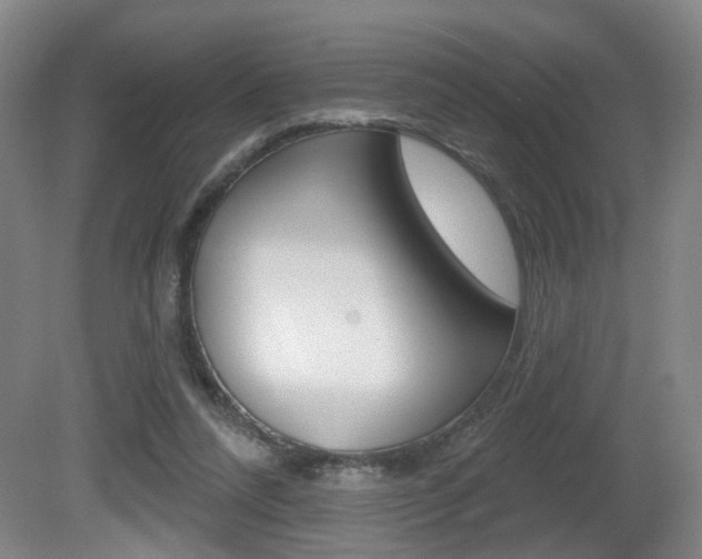 X0000081560304200701151007
