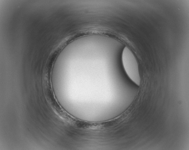X0000081560306200701151007