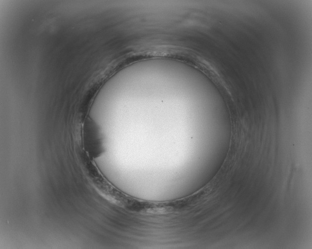 X0000081560307200701151006