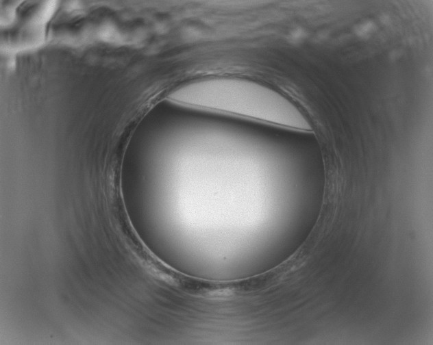 X0000081560309200701151006