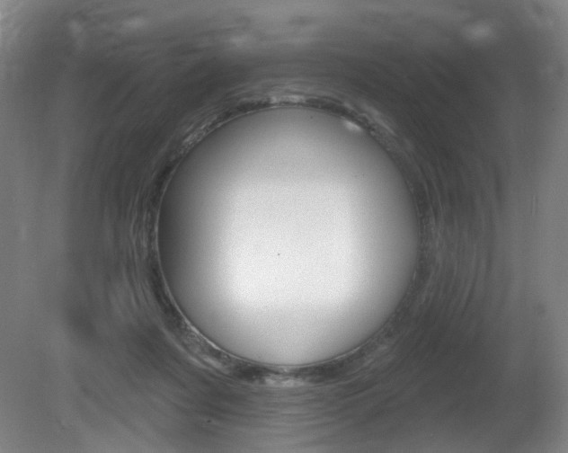 X0000081560311200701151006