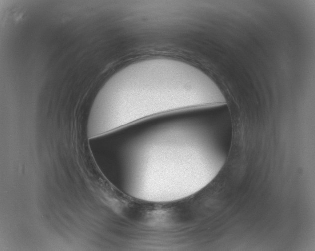 X0000081560312200701151006