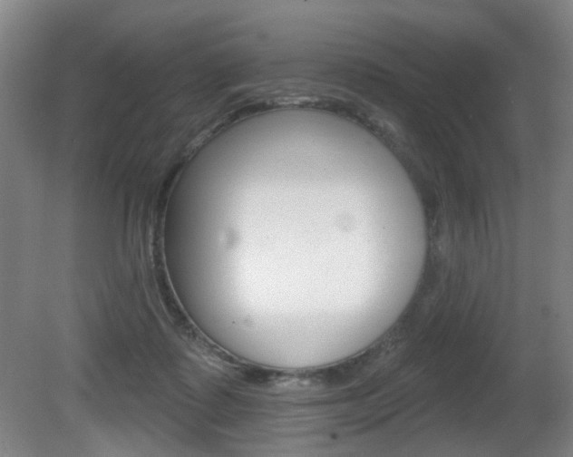 X0000081560315200701151006