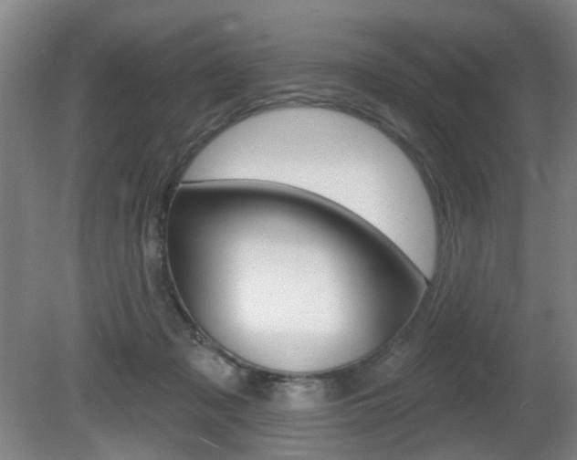 X0000081560317200701151006