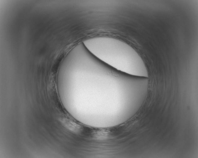 X0000081560318200701151006