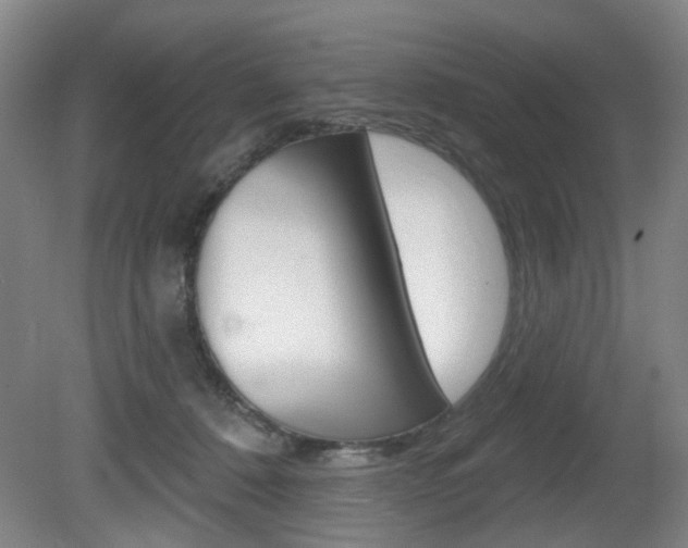 X0000081560320200701151006
