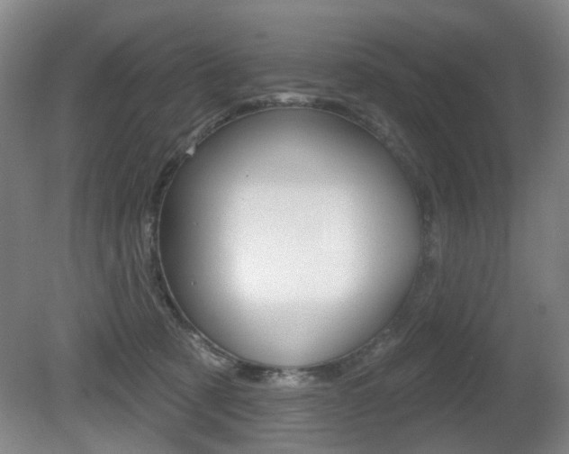 X0000081560321200701151006