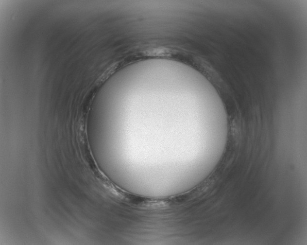 X0000081560322200701151006