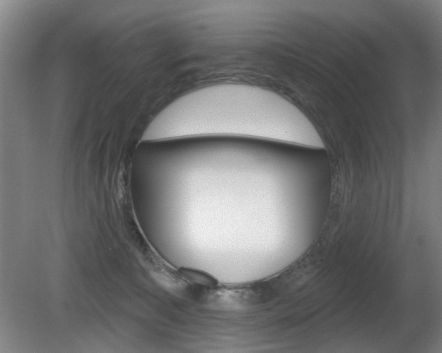 X0000081560323200701151006