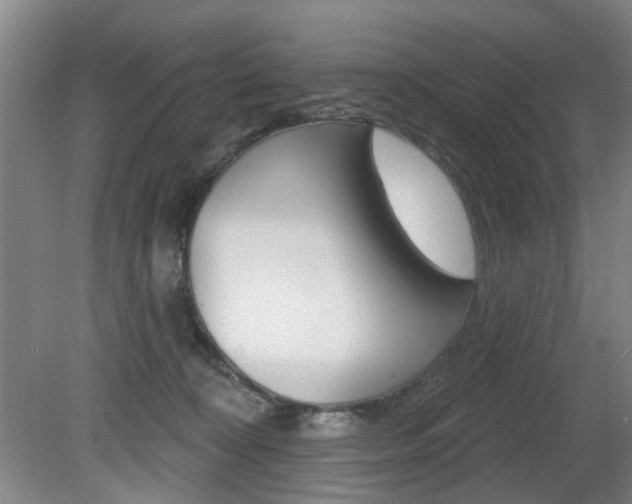 X0000081560324200701151006