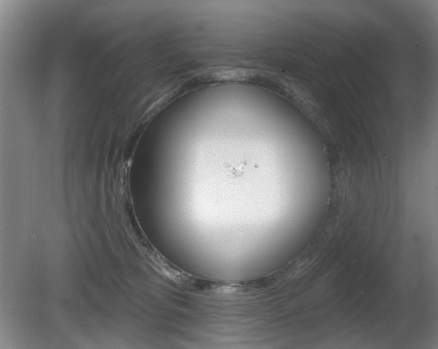 X0000081560325200701151006