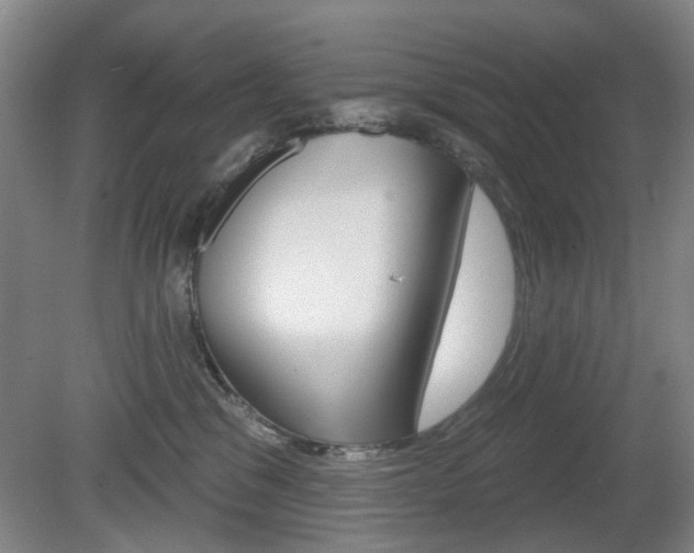 X0000081560329200701151006
